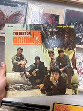 The best of the animals