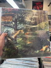 Jennifer’s Castle - Angles of Death