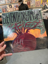 Eleventh dream day - beet