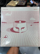 Meet You - Century Palm