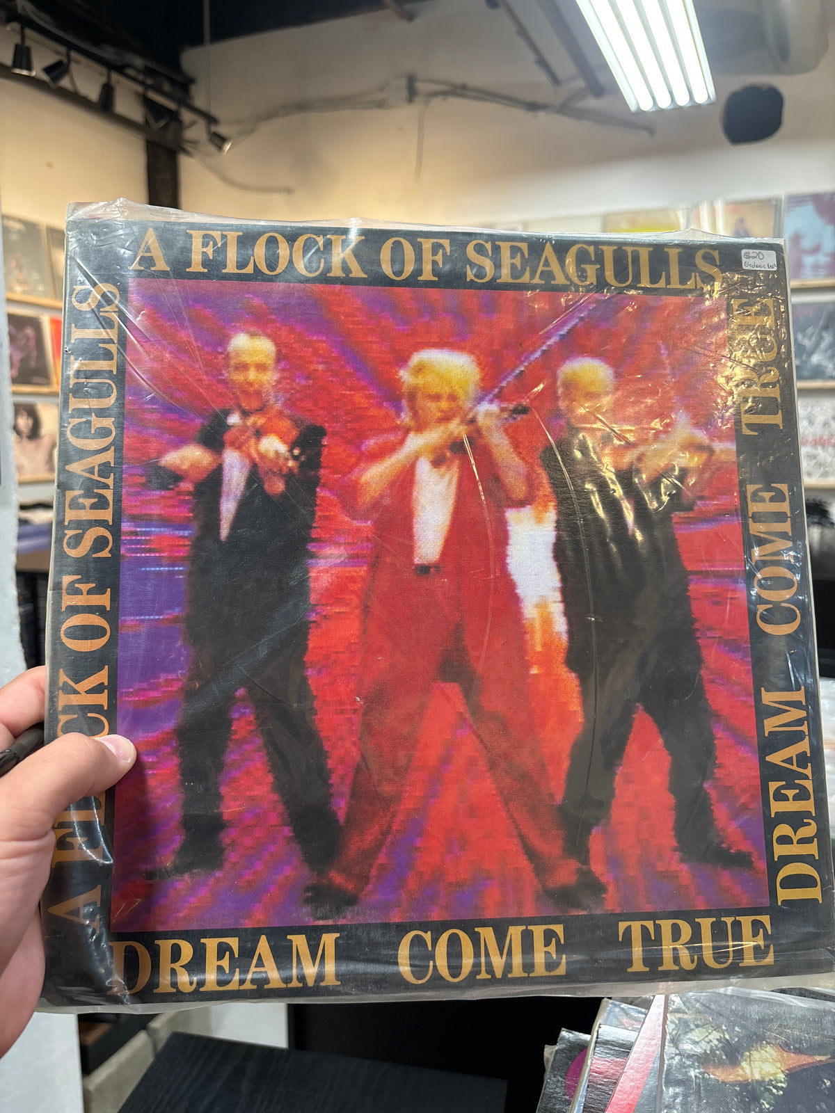 Flock of Seagulls - Dreams come true
