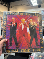 Flock of Seagulls - Dreams come true