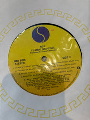 Flamin Groovies - Now