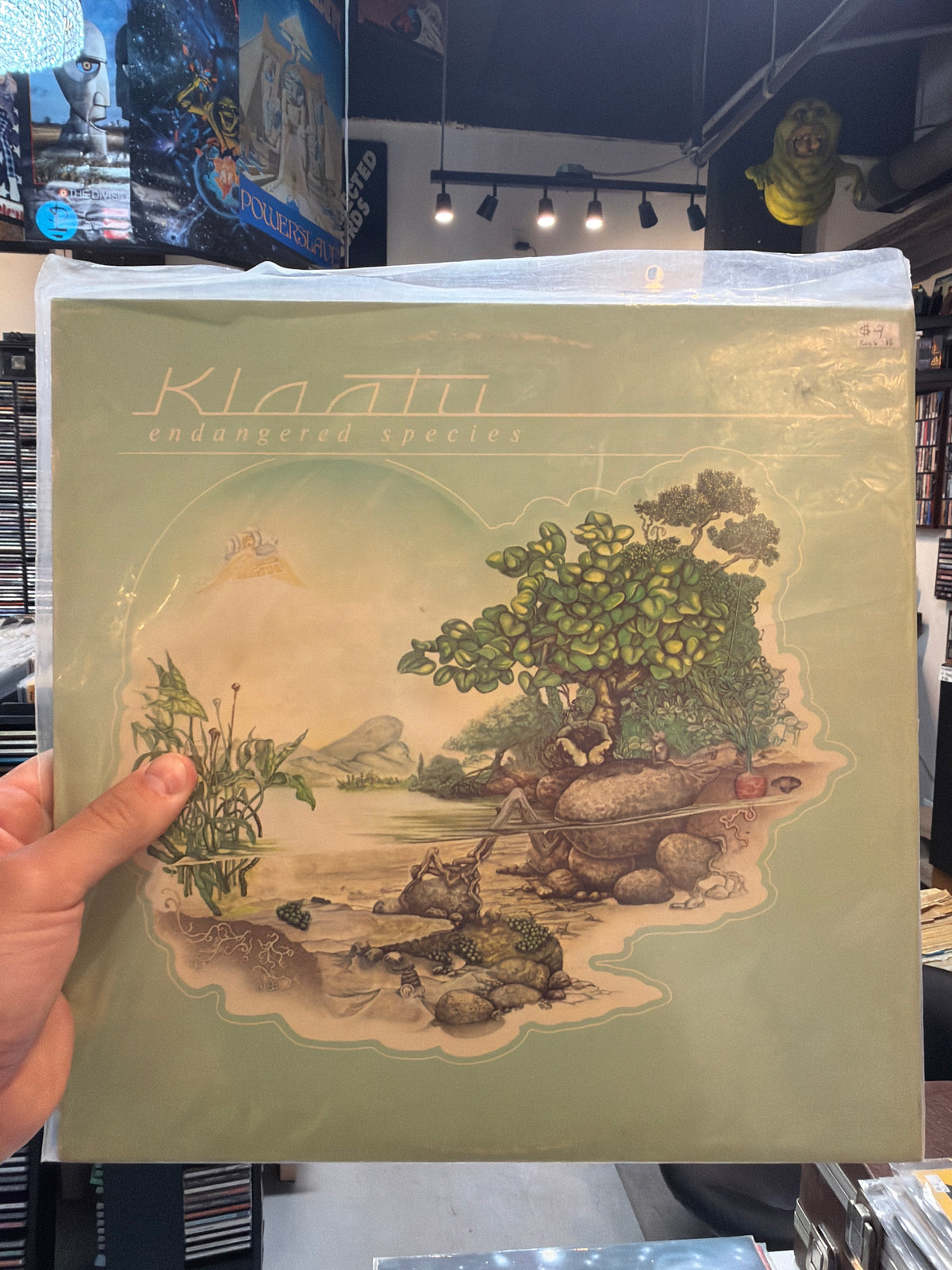 Klaatu - Danger Species