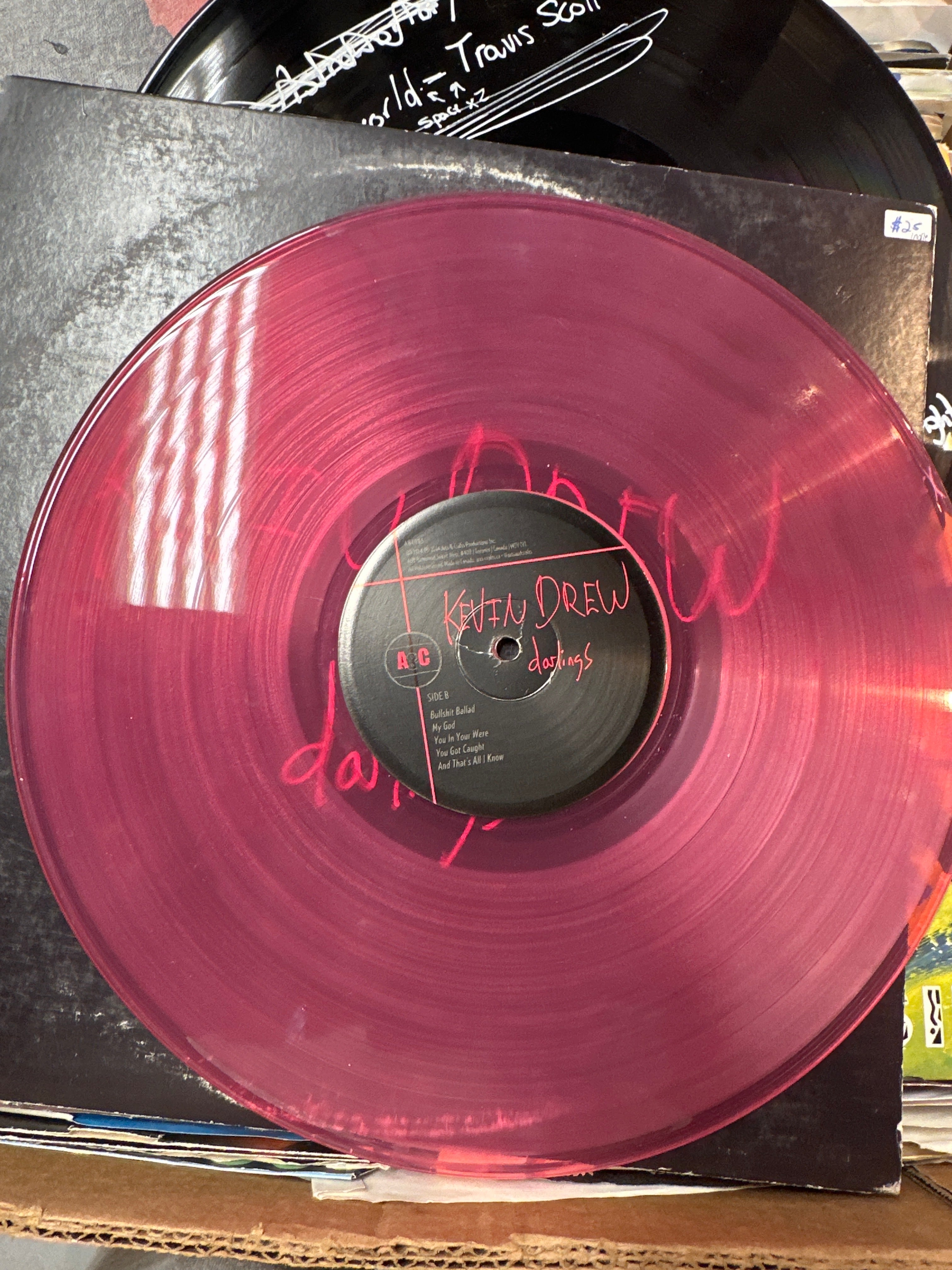 Darling - Kevin Drew