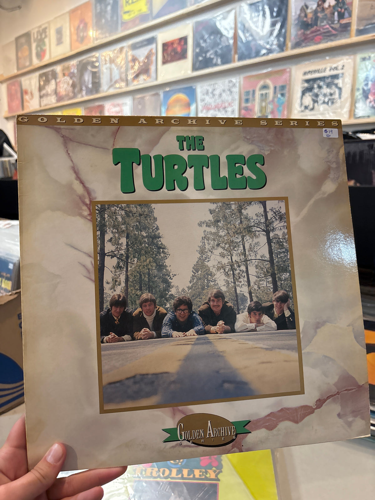 Golden archive series - The turtles