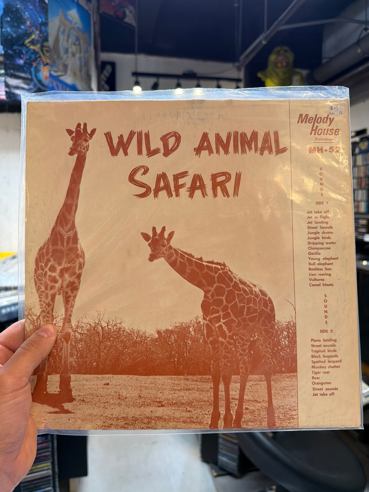 Wild Animal Safari