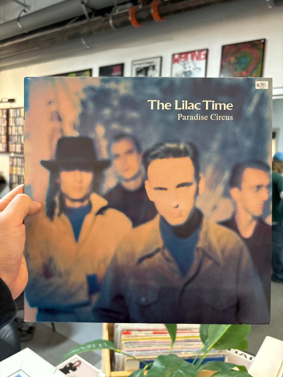 The Lilac Times - Paradise Circus