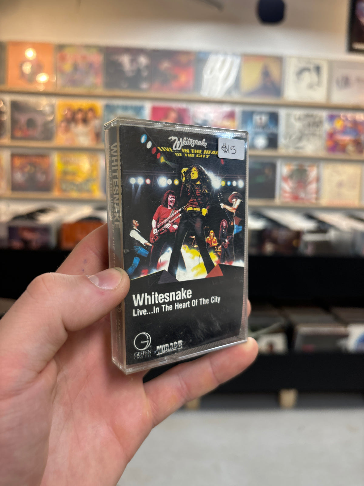 WhiteSnake - Live in the