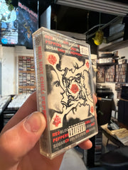 Red Hot Chili Peppers - Blood Sugar