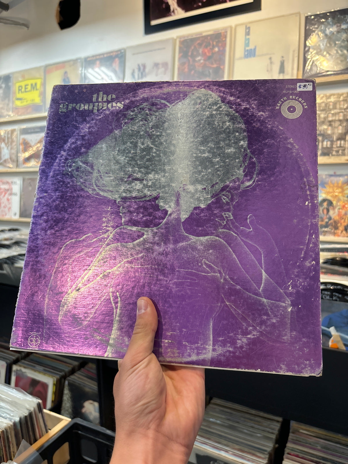 Self titled - the groupies