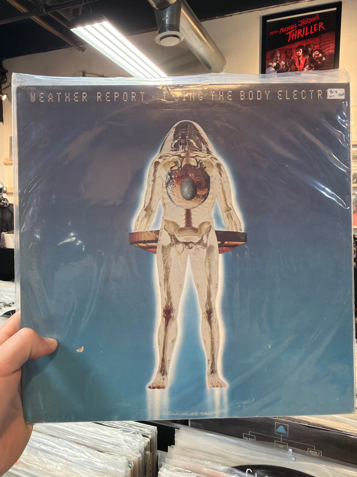 Weather Report -  I Sing The Body