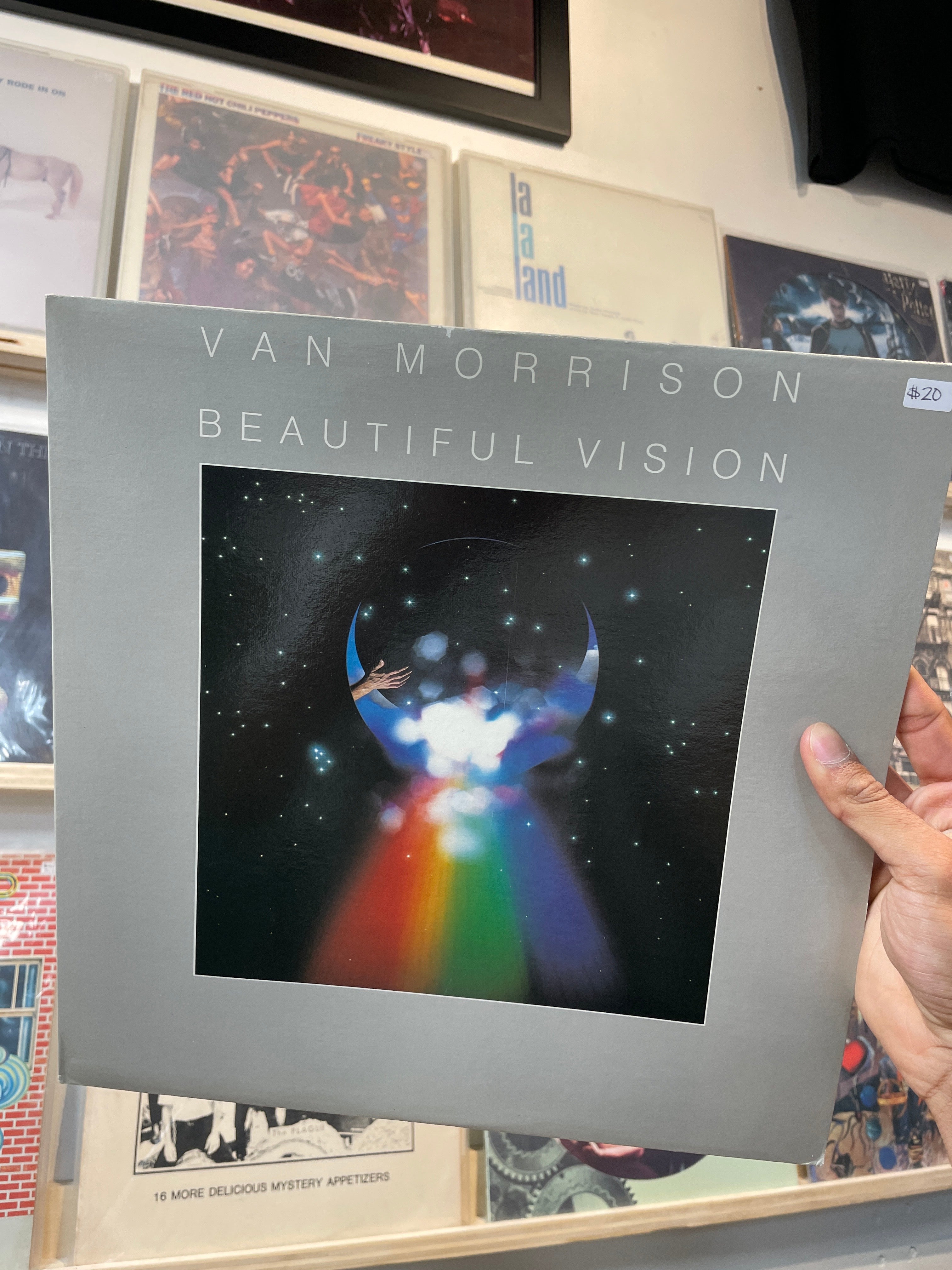 Beautiful Vision - Van Morrison