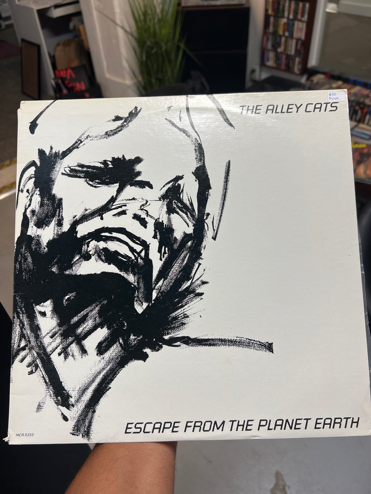 Escape From The Planet Earth - The Alley Cats