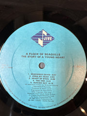 The story of a young heart - a flock of seagulls