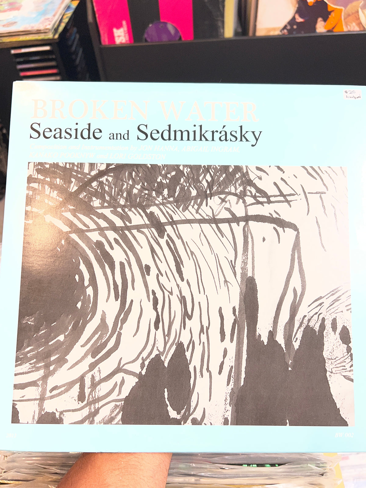 Broken Water - Seaside and Sedmikràsky