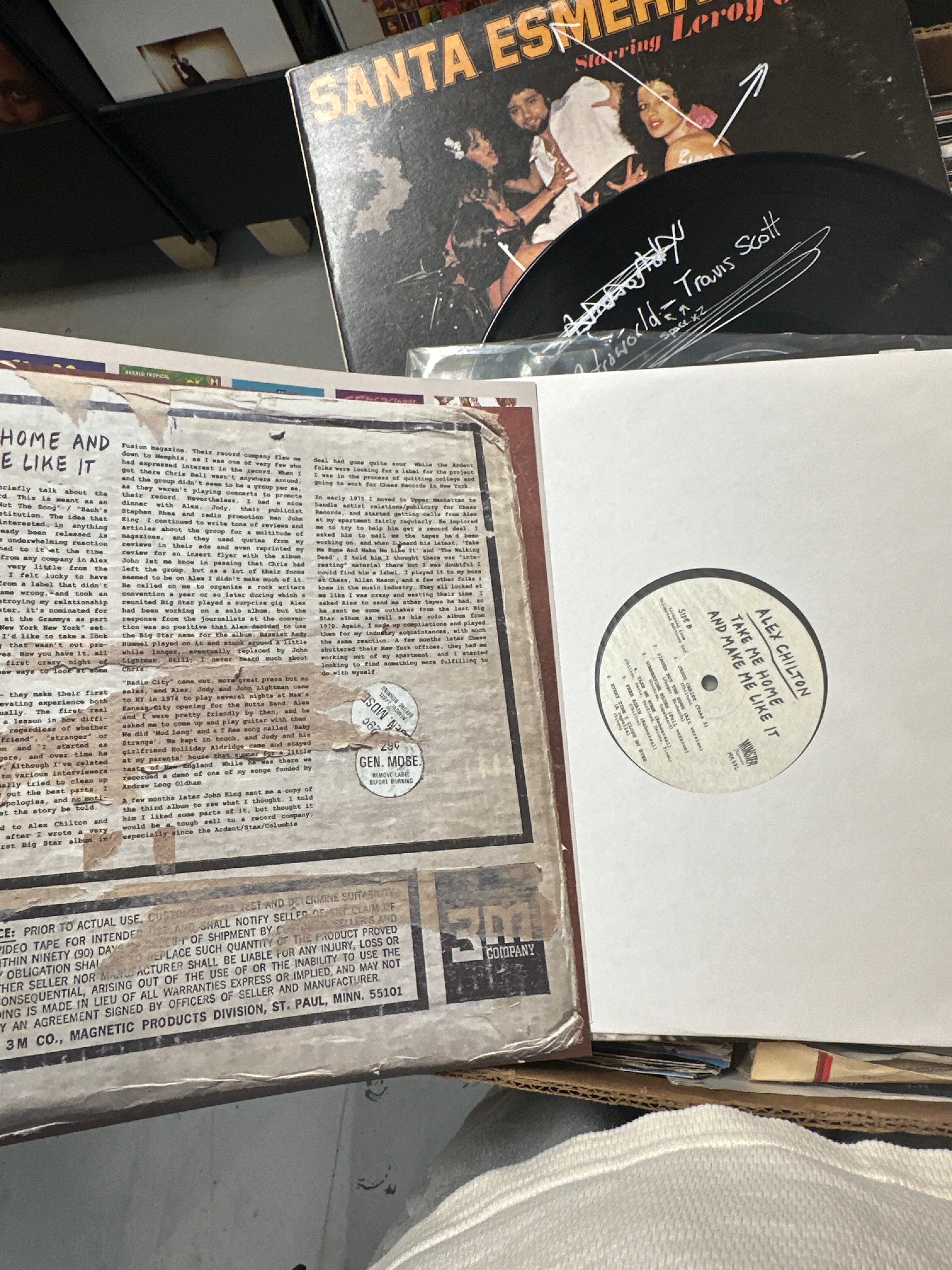 Take me home and make me like it - Alex Chilton