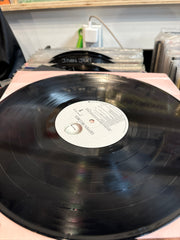 Building the perfect beast - Don Henley