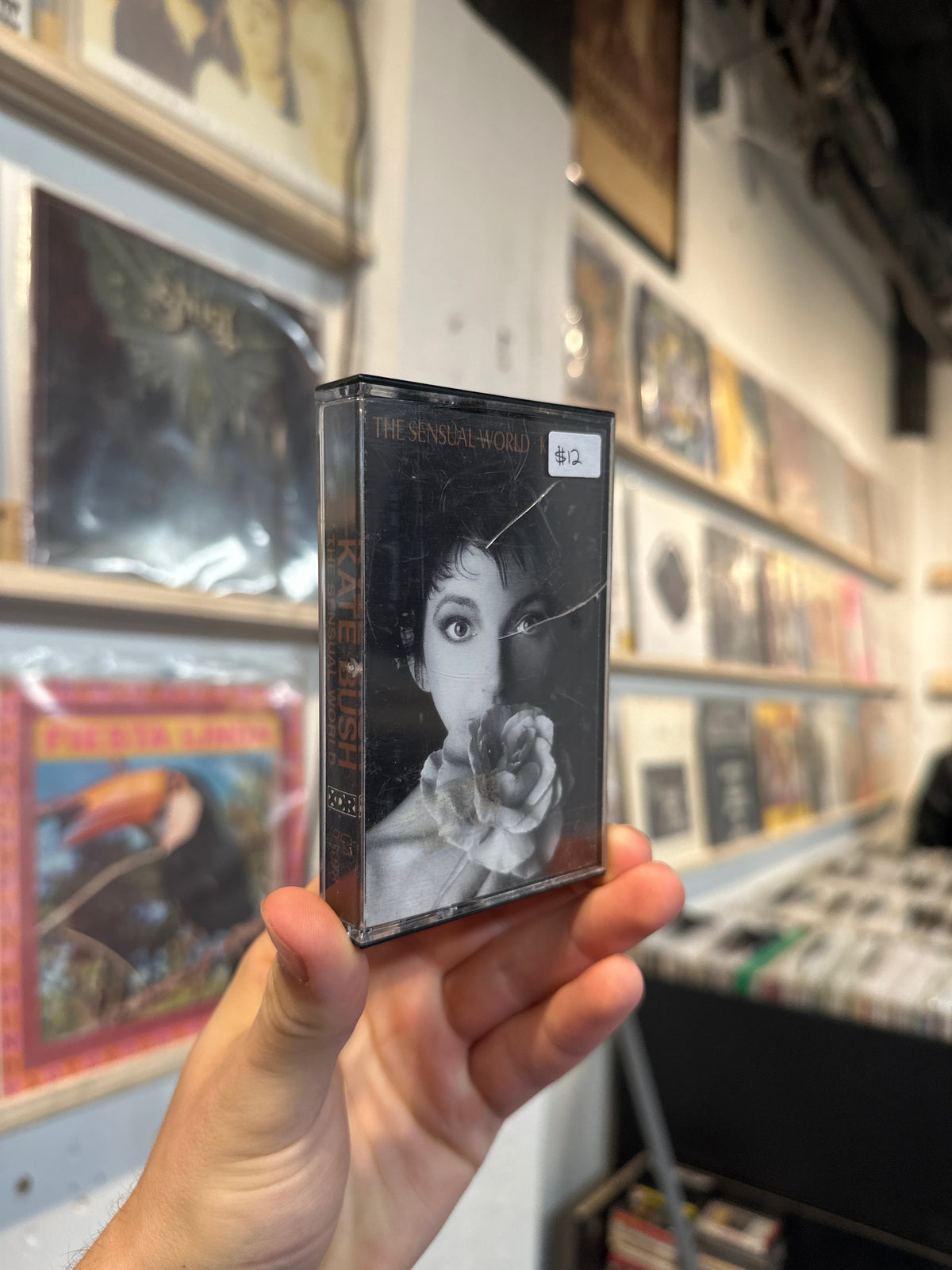 Kate Bush - The Sensual World