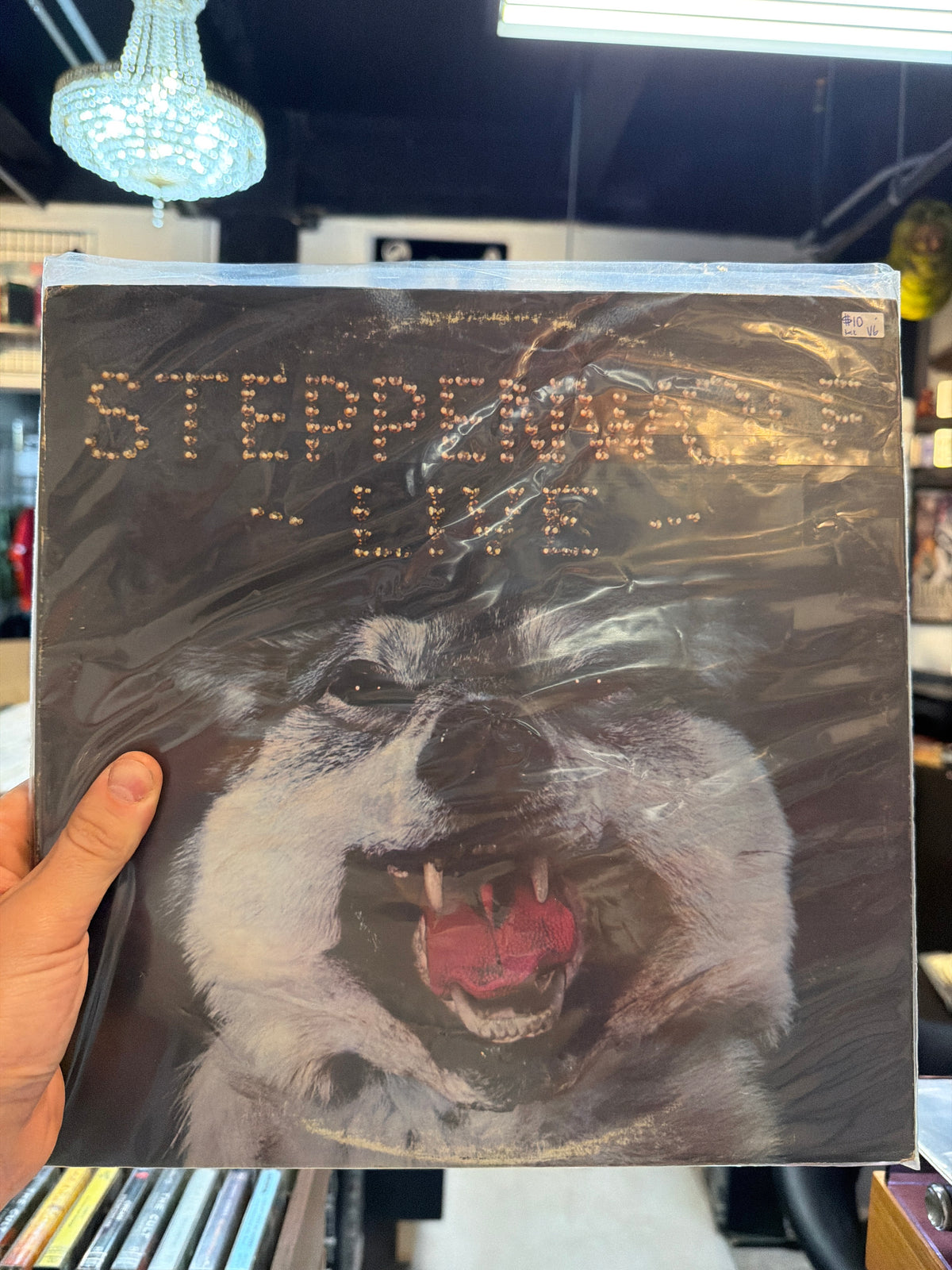 Steppenwolf - Live