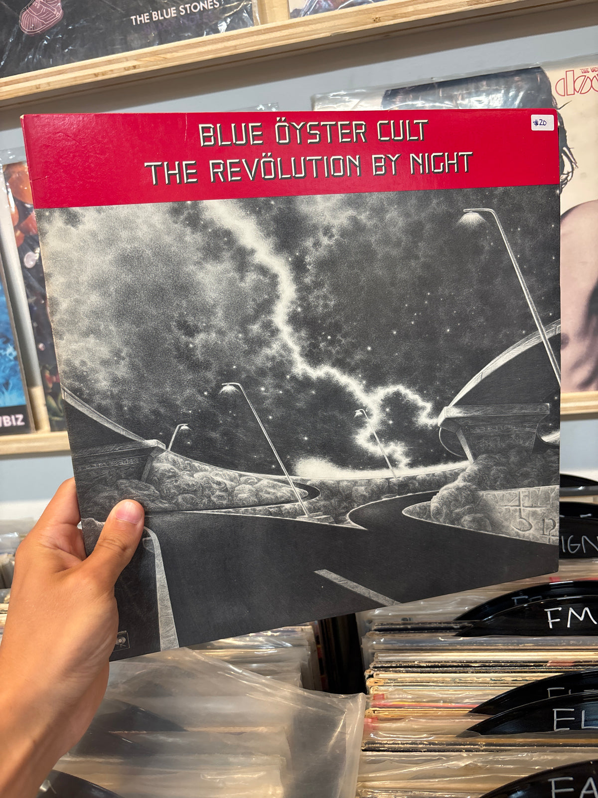 The Revolution By Night - Blue Oyster Night