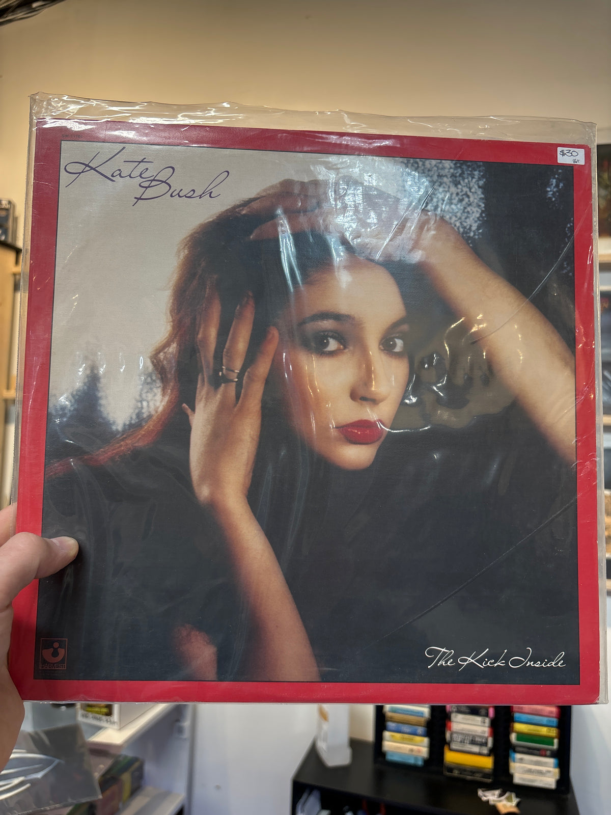 Kate Bush - The Kick Inside