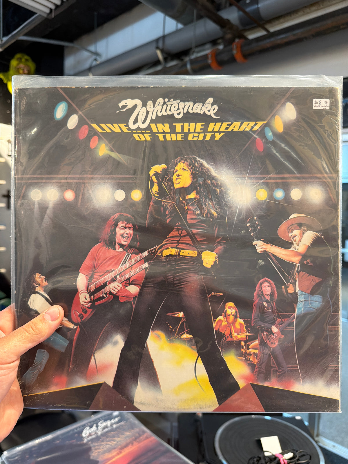 Whitesnake - Live