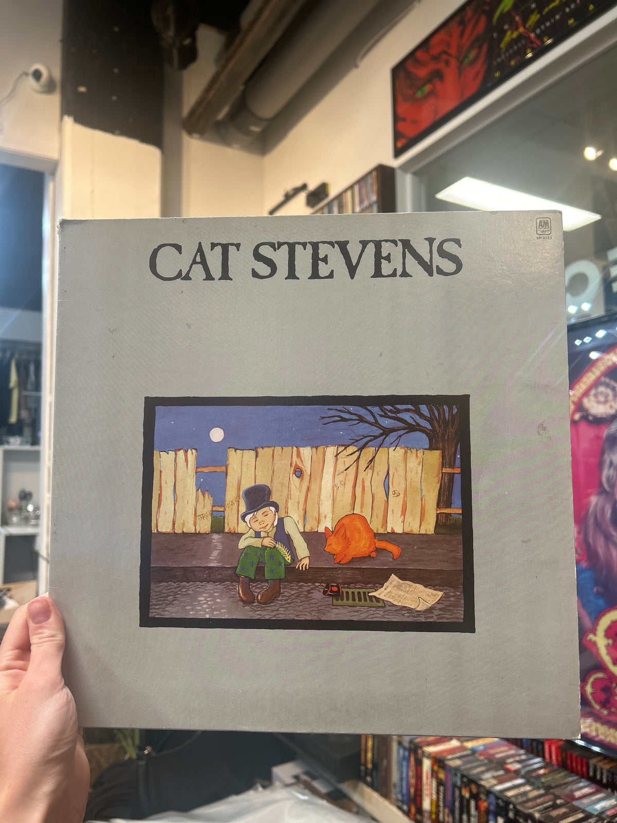 Teaser and the Firecat - Cat Stevens