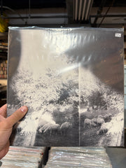 Godspeed You! Black Emperor - Asunder
