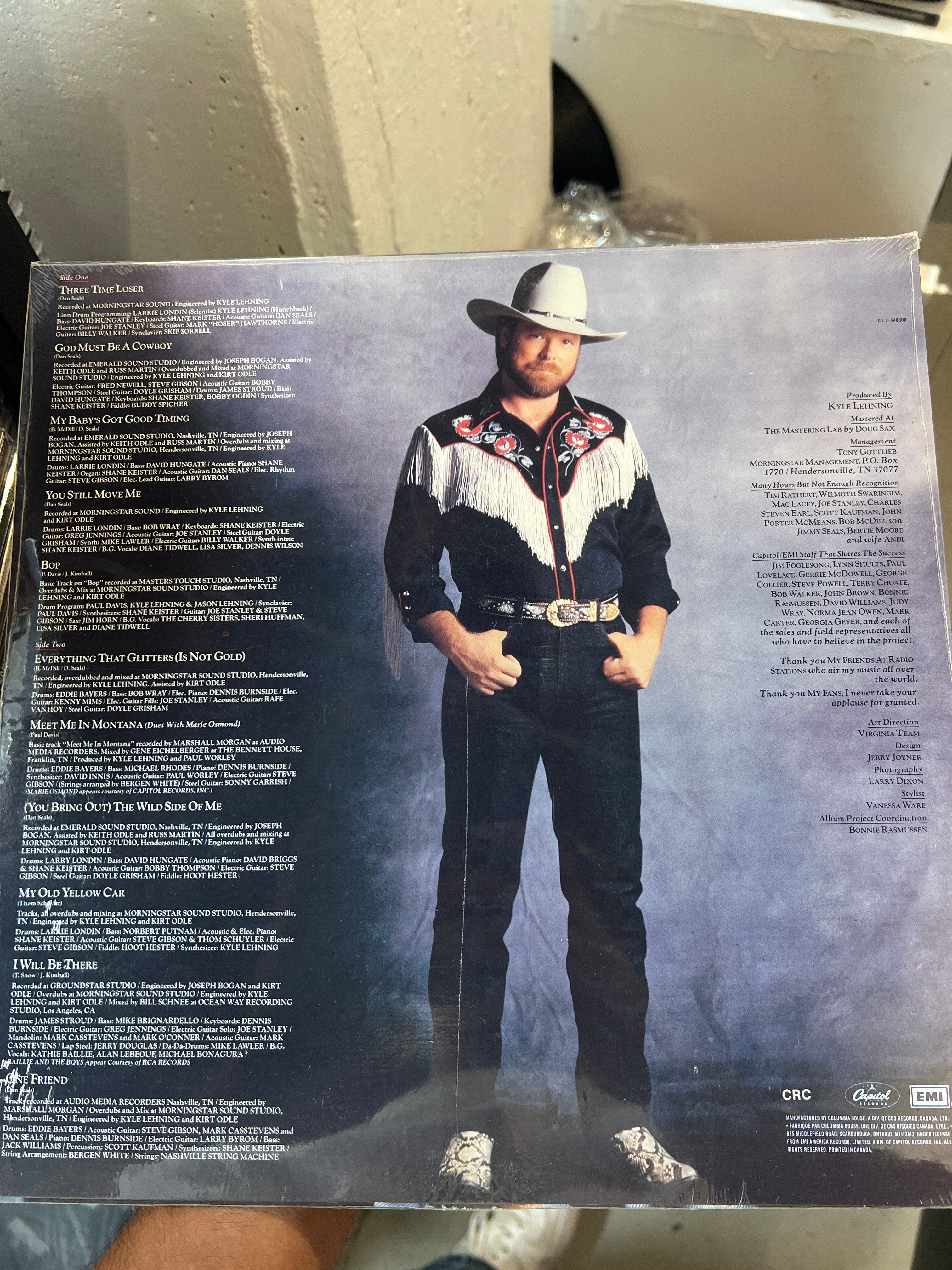 The Best - Dan Seals