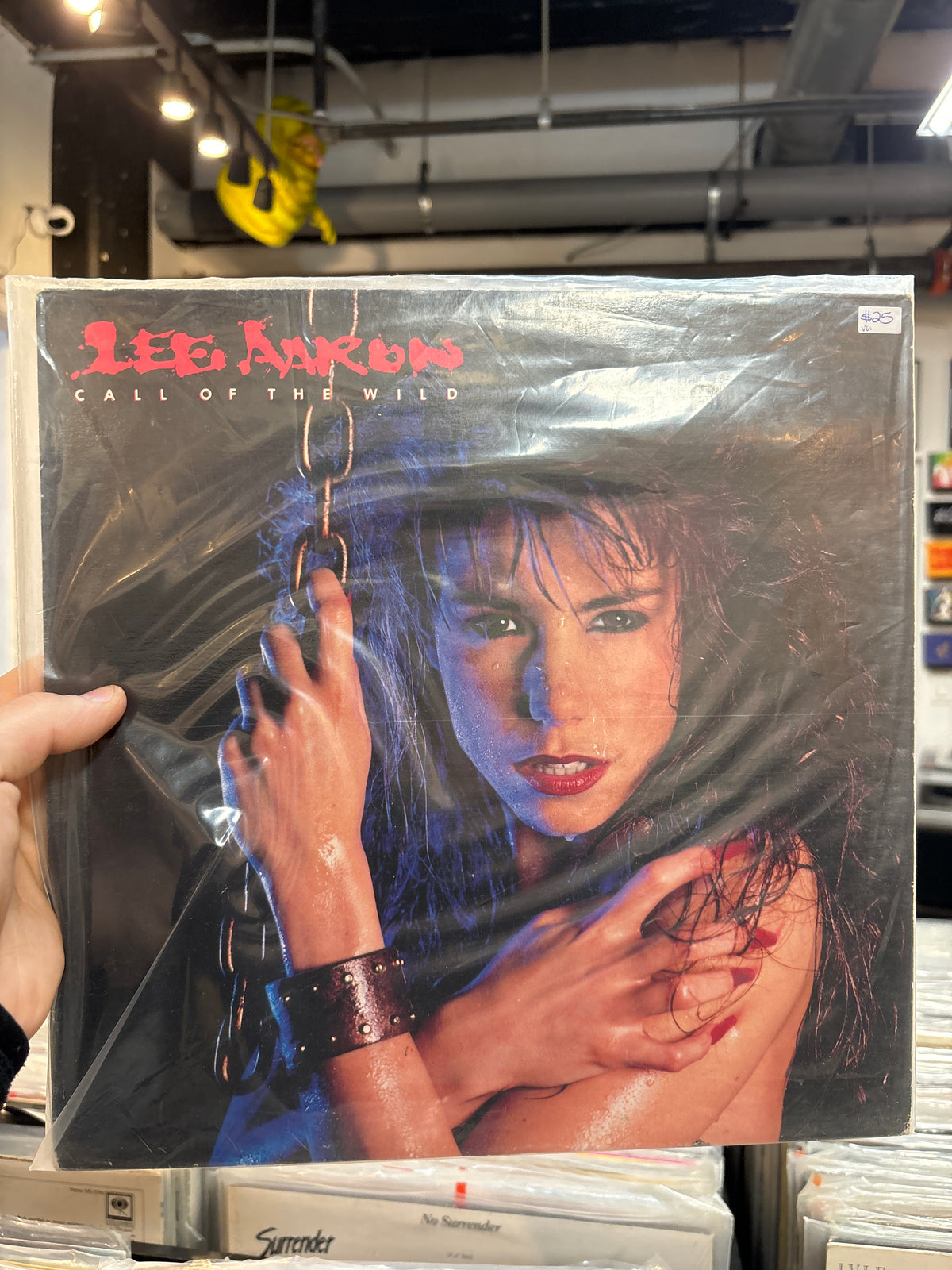Lee Aaron - Call of the Wild