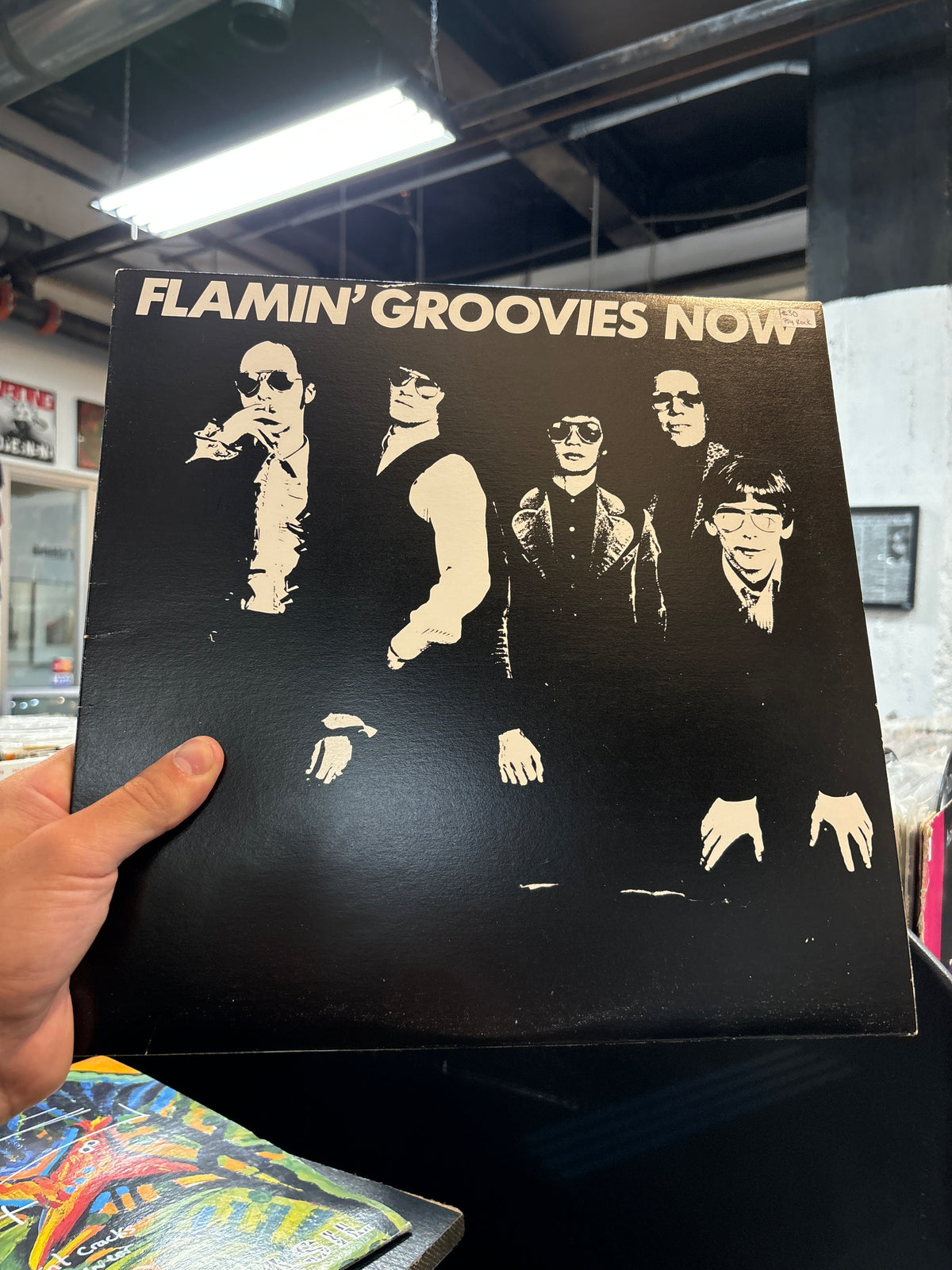 Flamin Groovies - Now