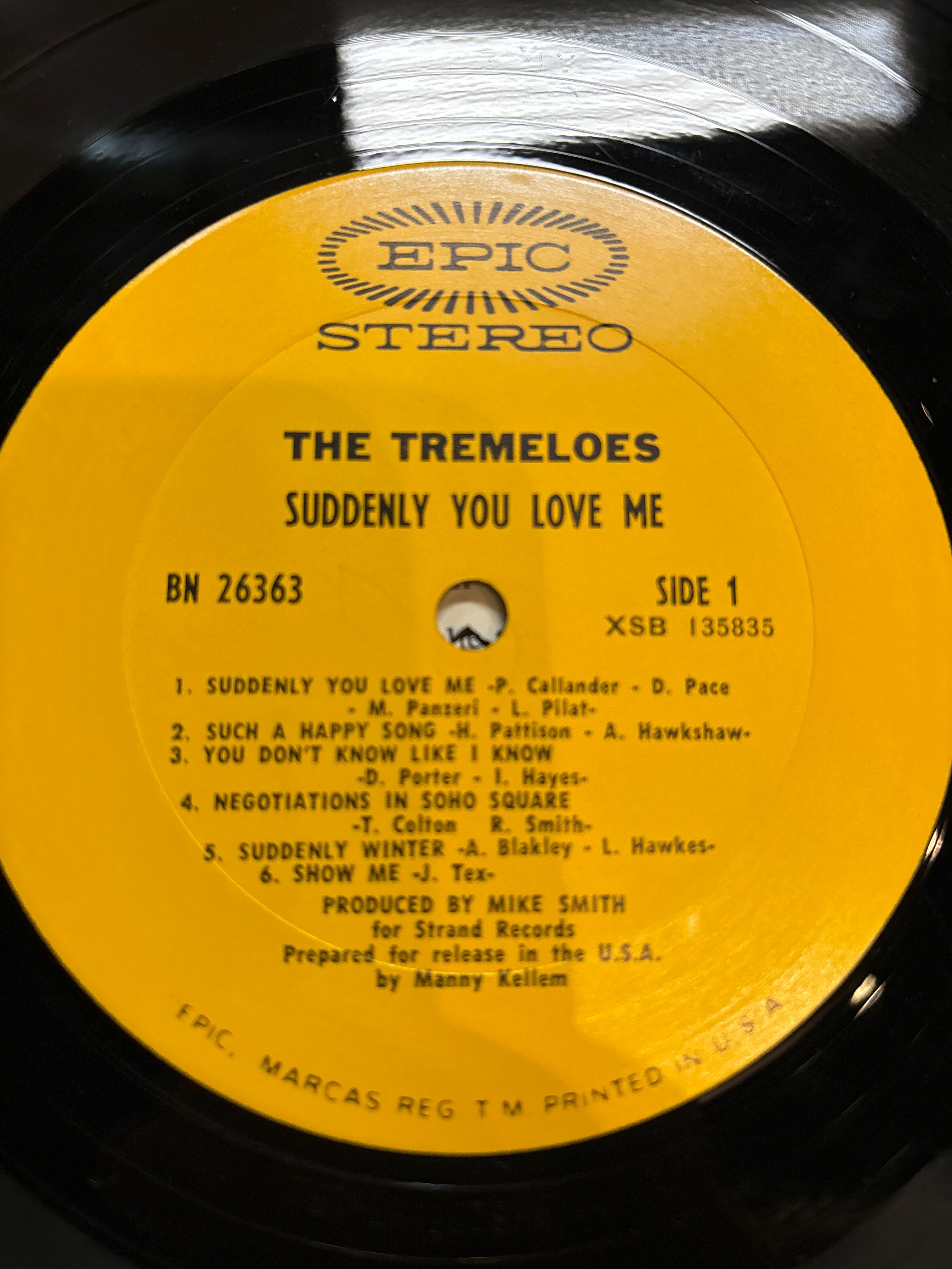 The Tremeloes - Suddenly You Love