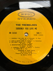 The Tremeloes - Suddenly You Love