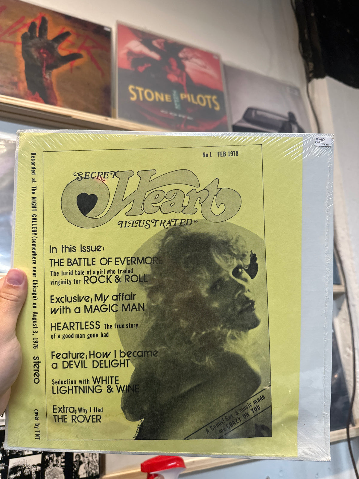 Secret Heart Illustrated - Heart