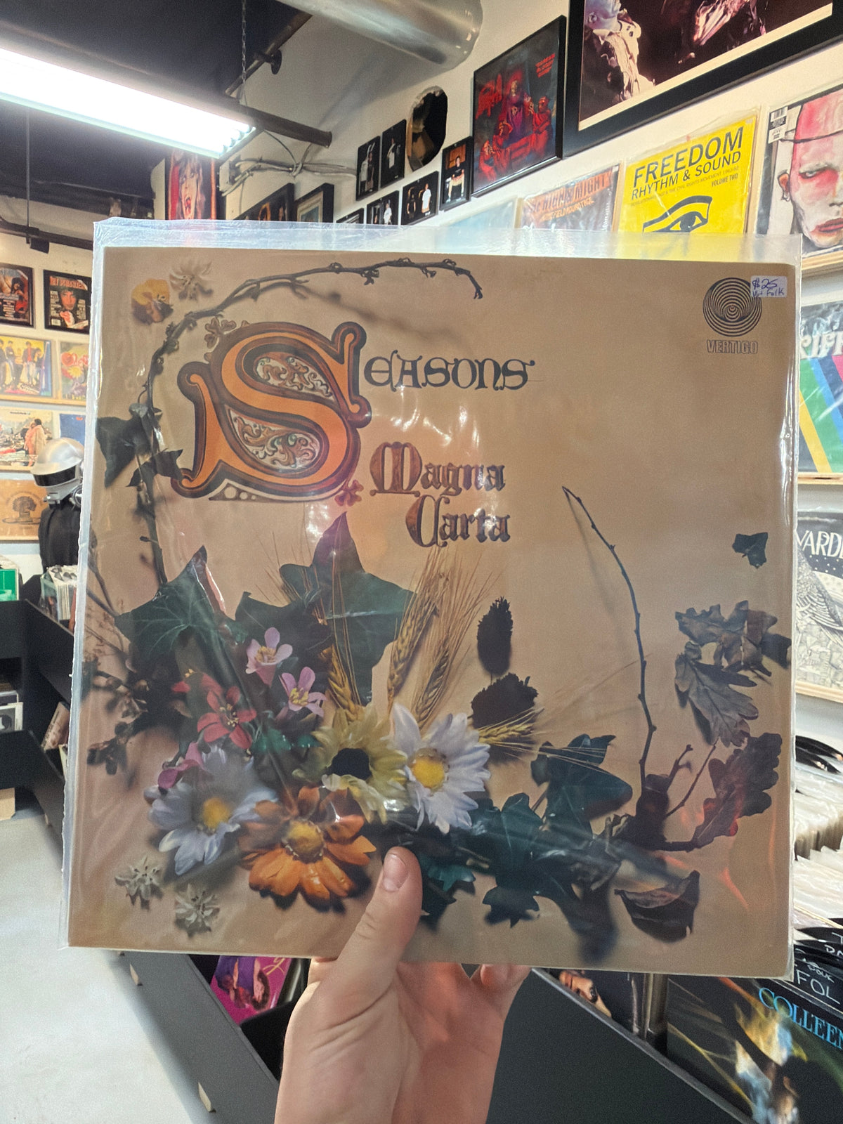 Magna Carta - Seasons