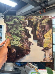 Cat Stevens - Back to Earth