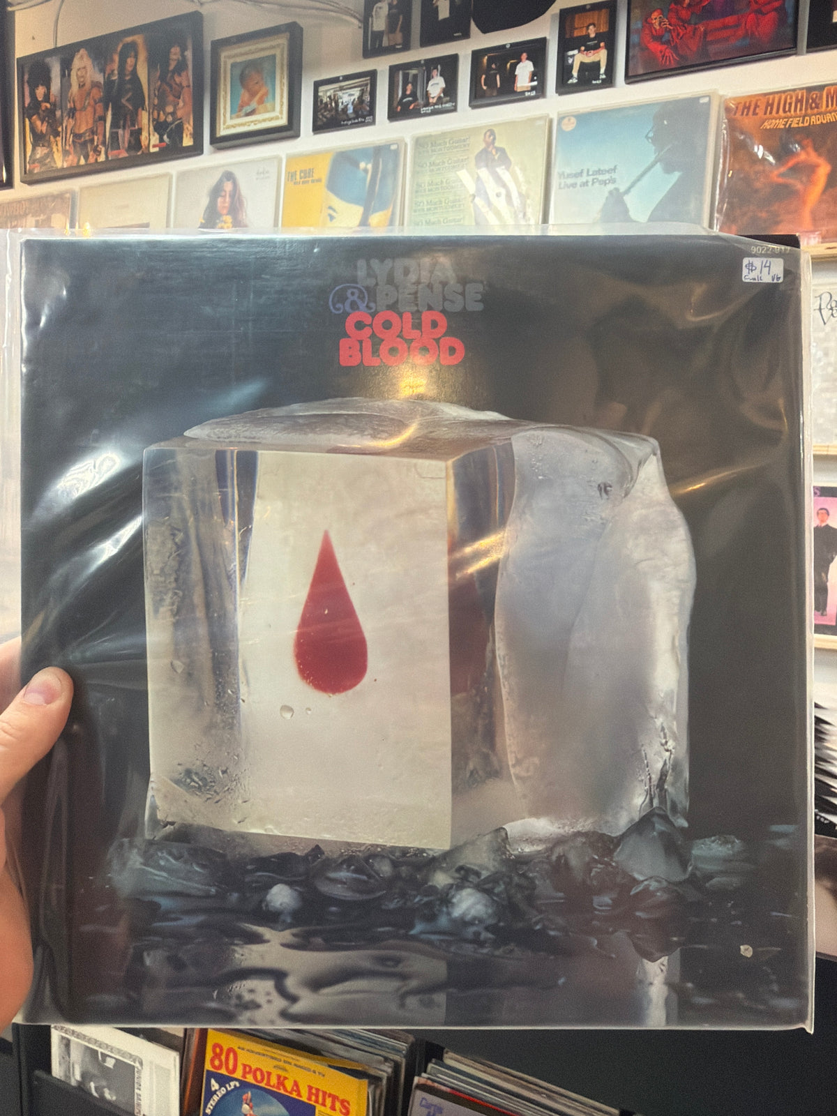 Lydia Pense - Cold Blood