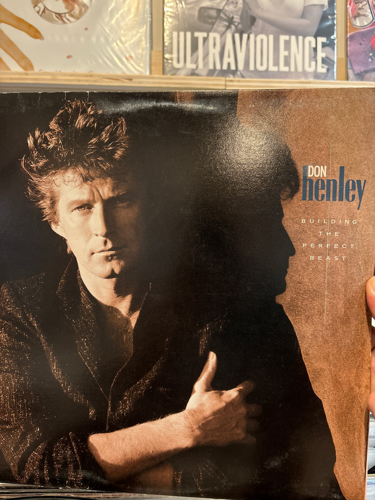Building the perfect beast - Don Henley