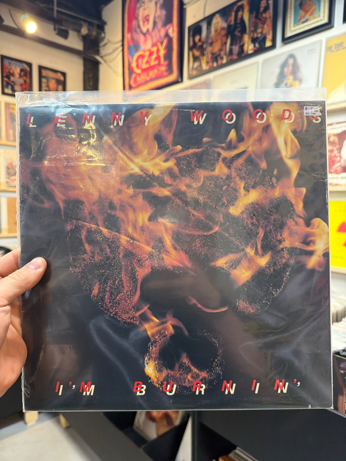 Lenny Woods - I’m Burning