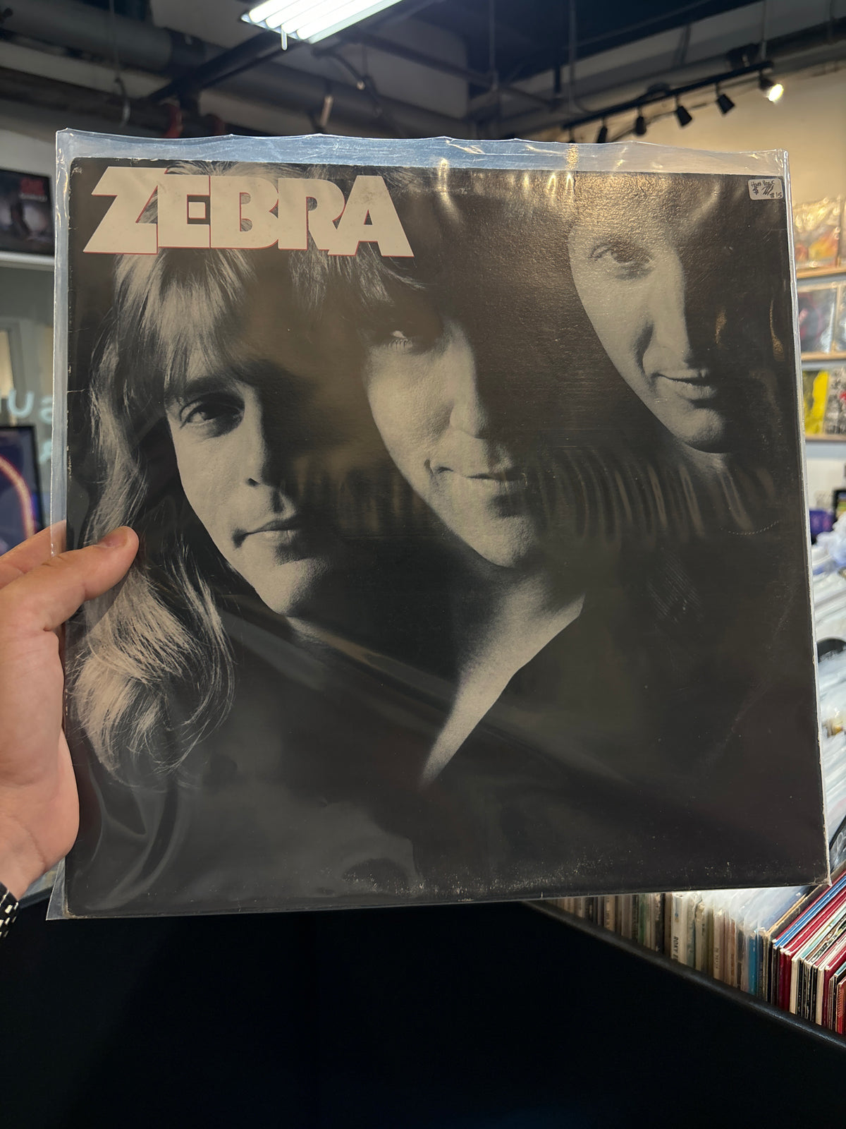 Self titled - Zebra