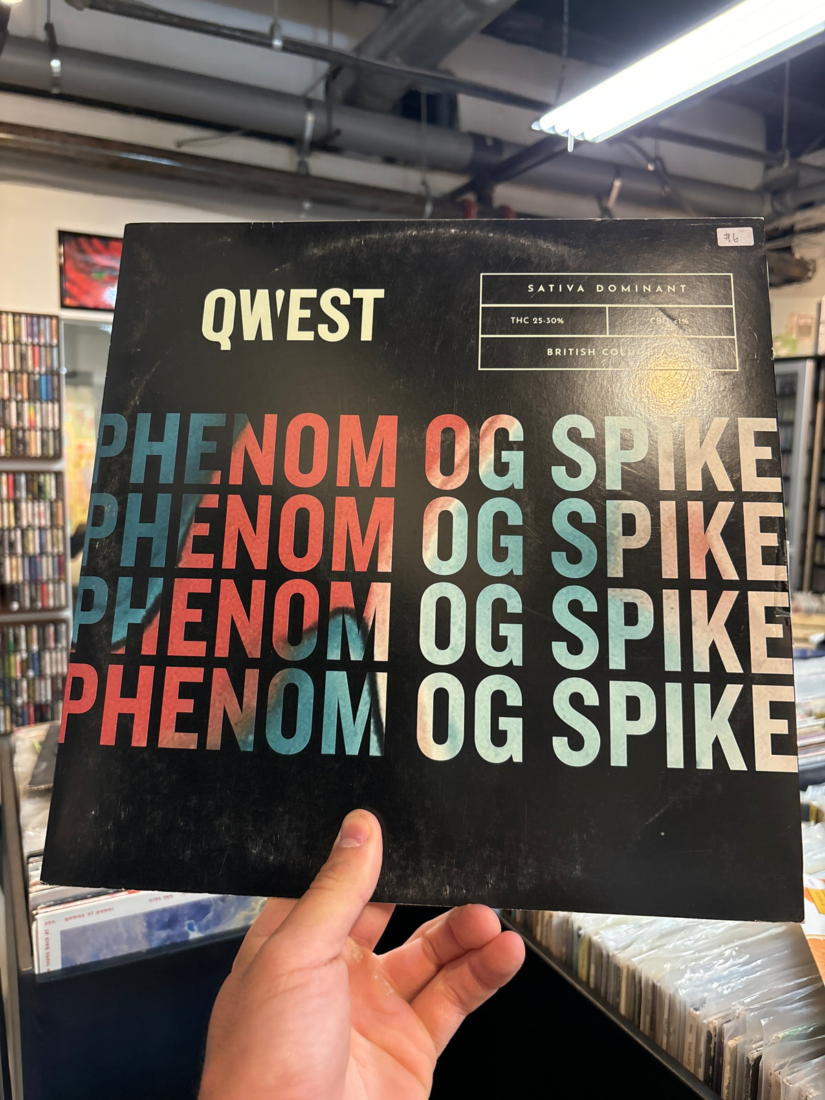 Qwest - Super Silver Skunk