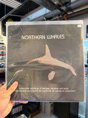 Northern Whales - Underwater Recordings of Belugas