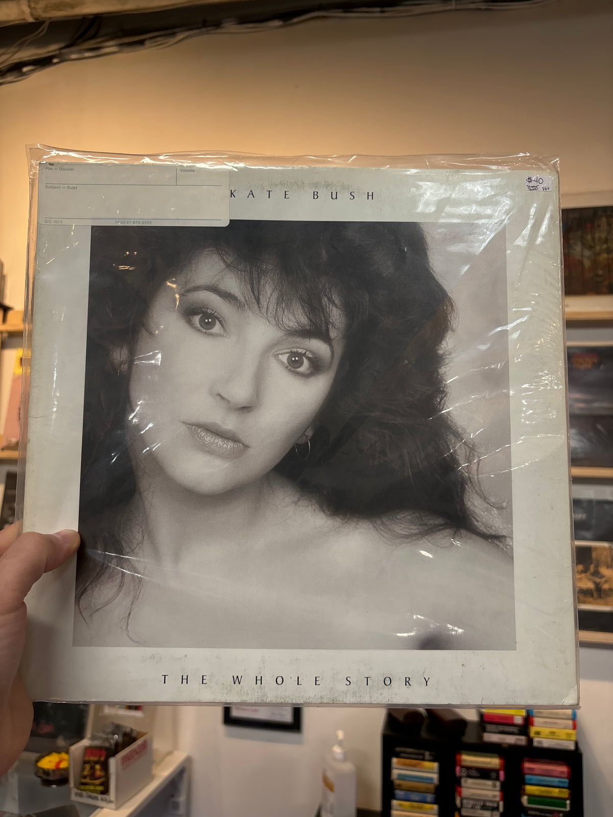 Kate Bush - Whole Story