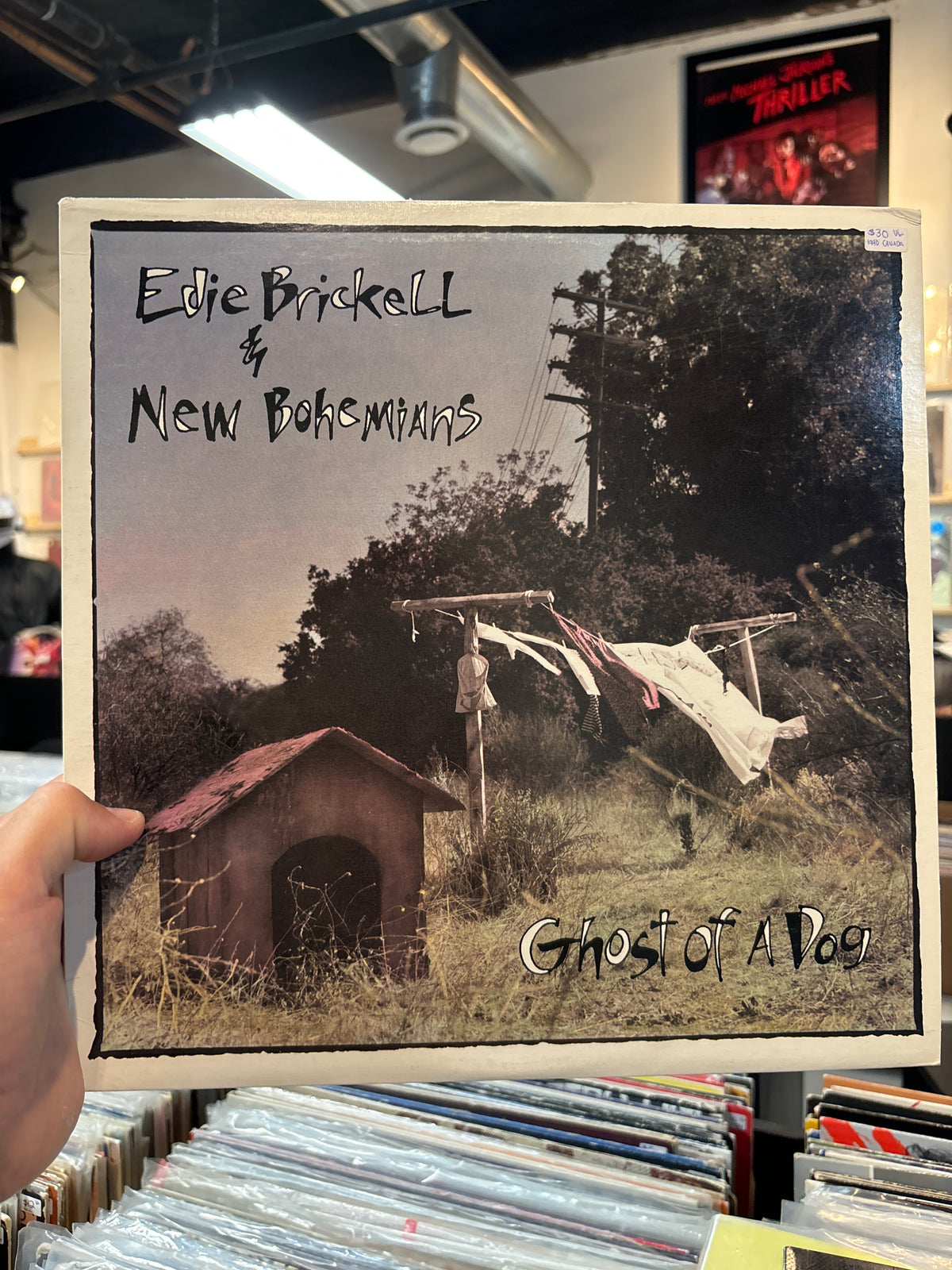 Edie Brickell & New Bohemians - Ghost of a Dog