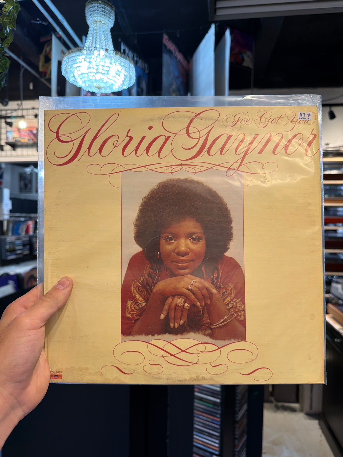 Gloria Gaynor - I’ve Got You