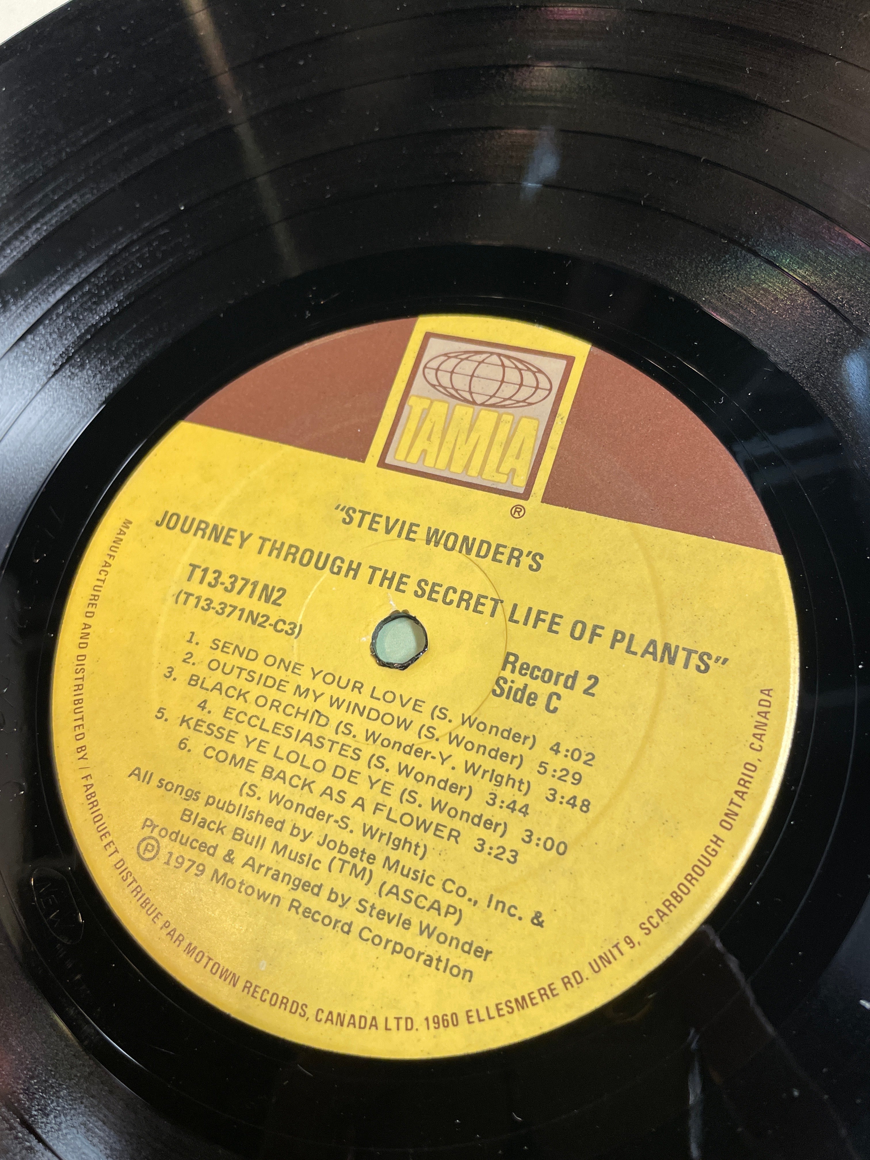 The secret life of plants - Stevie Wonder’s