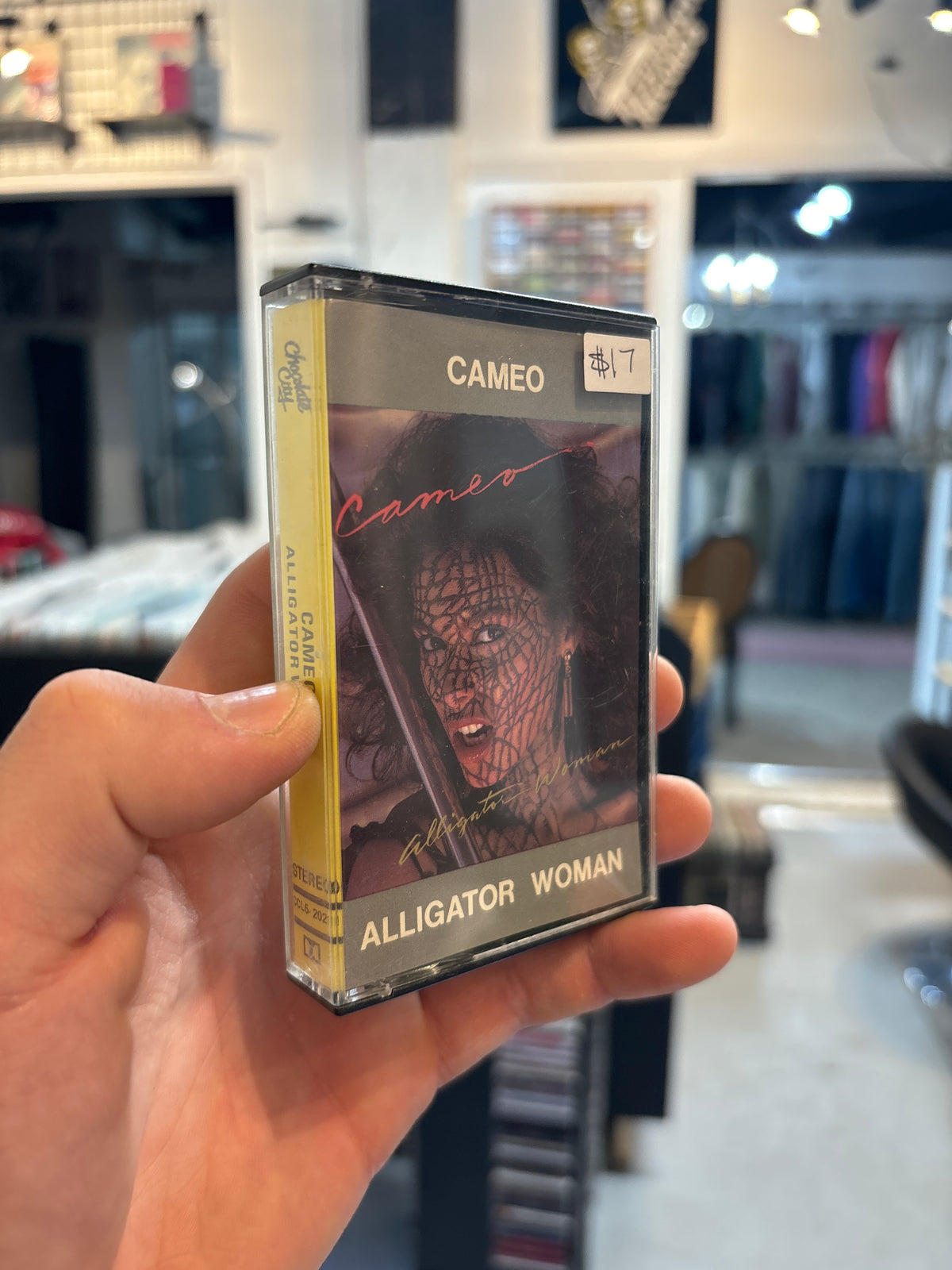 Cameo - Alligator Women