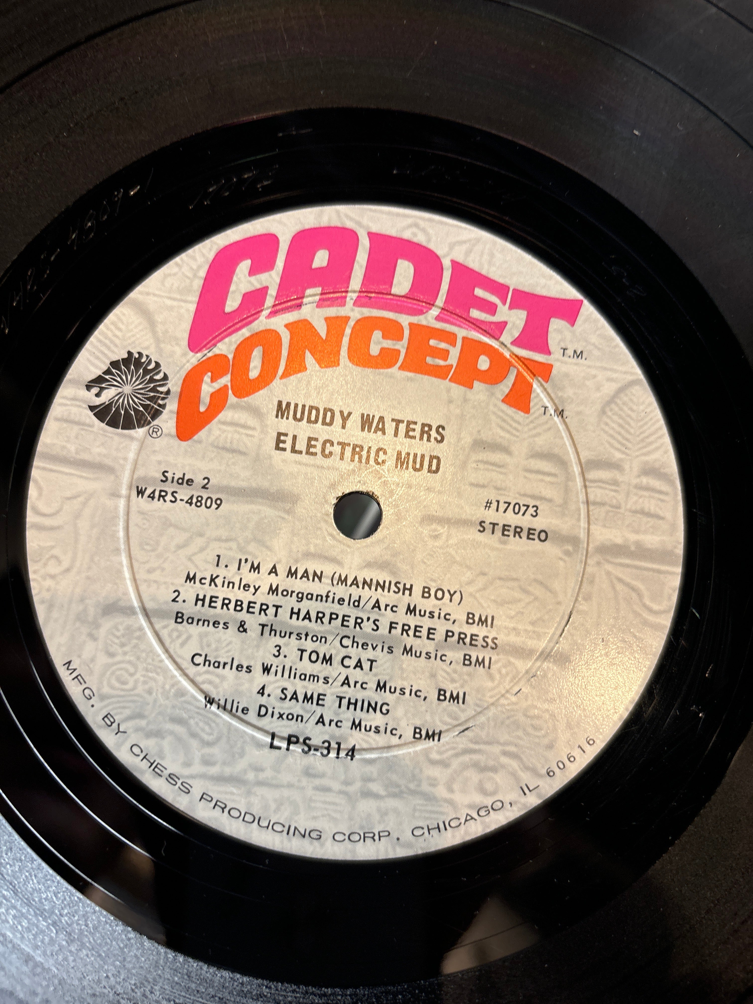 Muddy Waters - Electric Mud