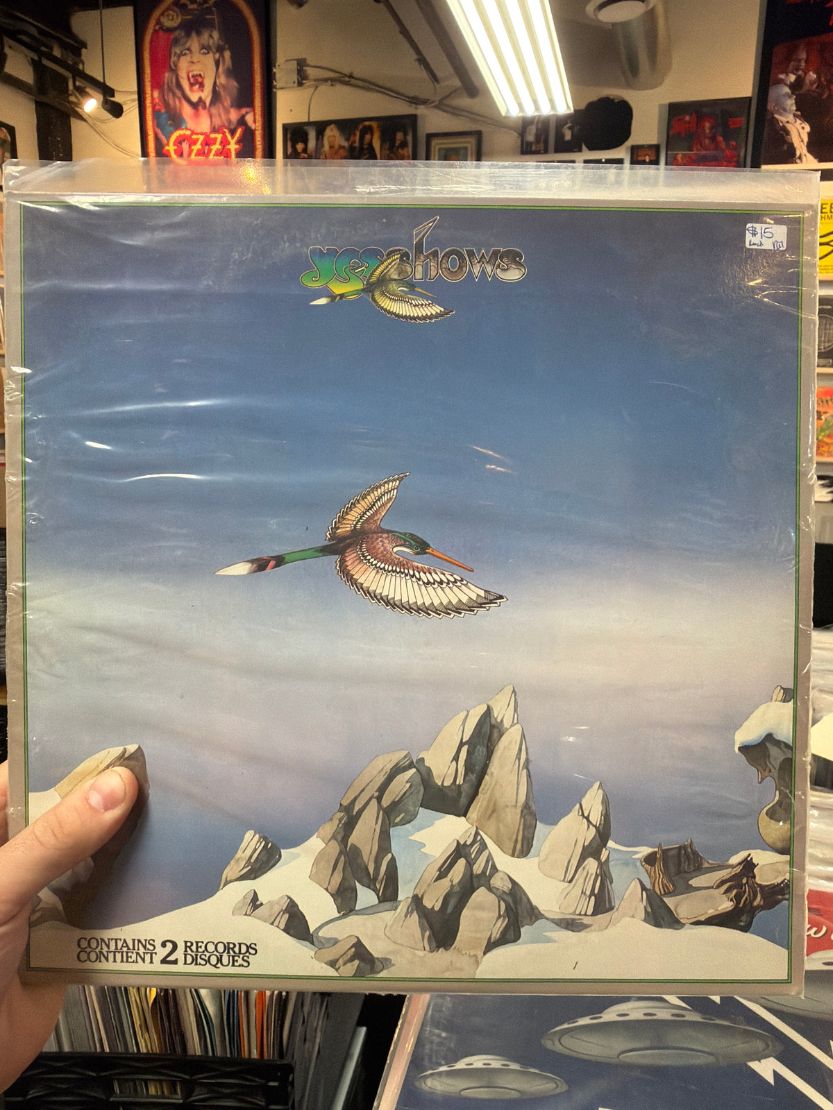 Yes - Shows